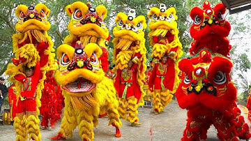 Múa Lân 2023 / Tập Múa Lân Đánh Trống Hay Nhất / LSR Miễu Bà Thiên Hậu #mualan