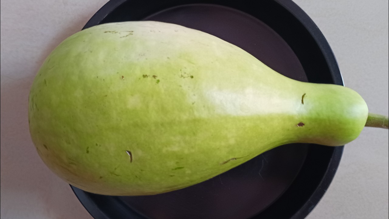 ஆஹா ! ஒரு சுரைக்காய் போதும் / மதிய உணவை சுவையாக செஞ்சு அசத்தலாம் //