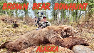 MASSIVE BROWN BEAR (Coastal Grizzly) BOWHUNT, ALASKA!