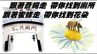 跟著蒼蠅走 帶你找到廁所! 跟著蜜蜂走 帶你找到花朵! 20211215《楊世光的新視野》