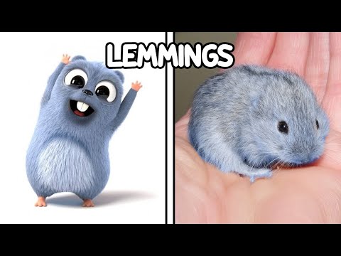 Grizzy and The Lemmings Characters In Real Life - BiliBili
