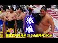 岐阜巡業で活躍する狼雅❗ 【夏巡業 大相撲 岐阜巡業2026】Roga SUMO