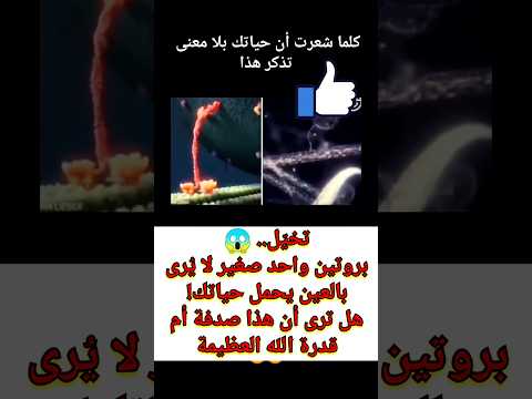 رحلة معجزة داخل جسدك بروتينات تحمل الحياة بلا توقف إعجاز علمي