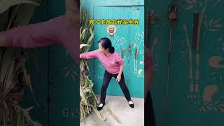 My Sister-In-Law Is Preparing A Gift As A Guest. It Just So Happens That Sister Xue Loves To Be