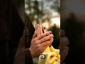 The promise of forgiveness that everyone needs to know