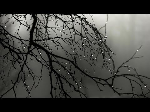 Vidéo: La pluie est-elle un bruit blanc ?