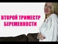 Второй триместр беременности / ТОНУС / УЗИ / ВЕС / САМОЧУВСТВИЕ