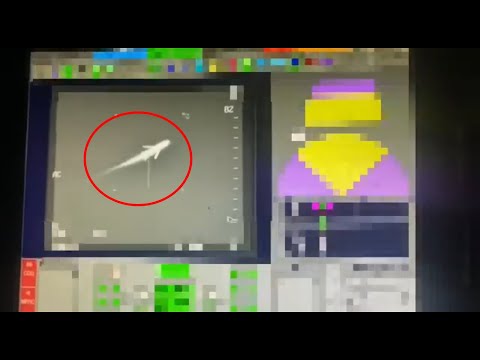 Video: Piasecki X-49A Speedhawk