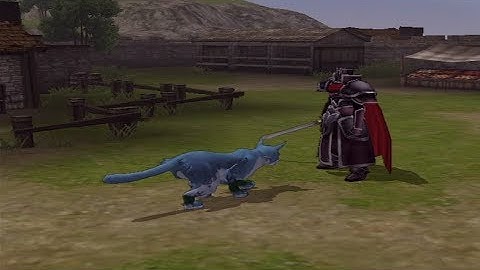 Fire Emblem: Path of Radiance - Chapter 11 Part 2: "Flee!"