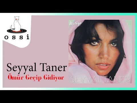 Seyyal Taner - Ömür Geçip Gidiyor (Renkler)