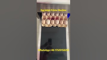 Egg Coding Machine in Action | Fast & Accurate Egg Printing 🥚✨