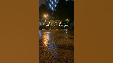 شريف مصطفى / حالات واتس اب / تلاوة خاشعة / راحة نفسية ( وَهُوَ مَعَكُمْ أَيْنَ مَا كُنْتُمْ ۚ )