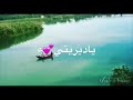 خيبت ظني ليتني ما تباهيت