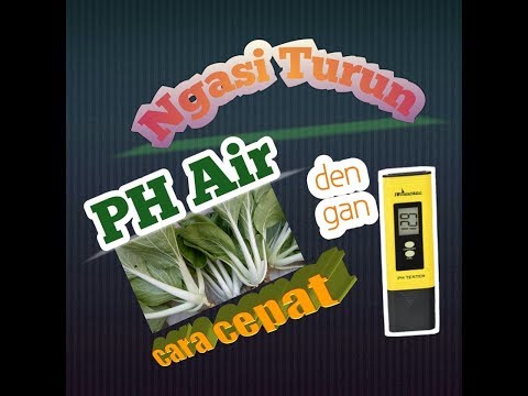 Video: Apakah pH Acuan daun?