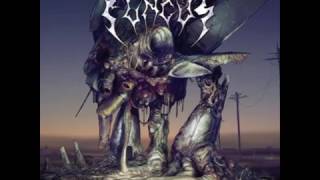 Fungus - Predatory Harvest (ALBUM STREAM)