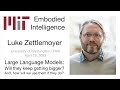 EI Seminar - Luke Zettlemoyer - Large Language Models: Will they keep getting bigger?