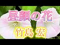 🎶昼顔の花/竹島宏 歌詞字幕付き