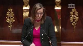 PPL Droit voisin au profit des éditeurs de presse - Interventions en séance