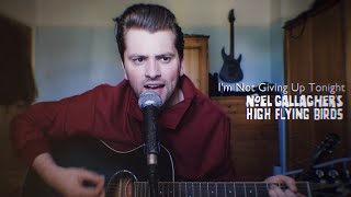 Video thumbnail of "I'm Not Giving Up Tonight | Cover | Noel Gallagher High Flying Birds"