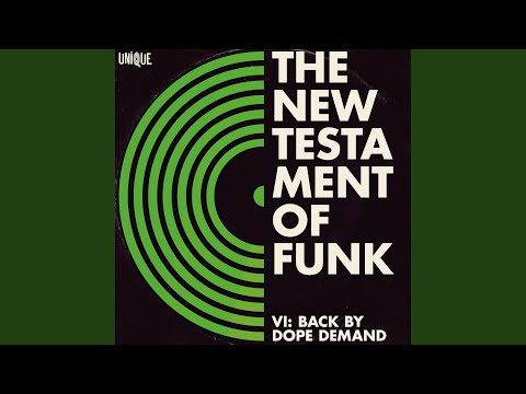 Chasing the Funk (The Allergies Remix)