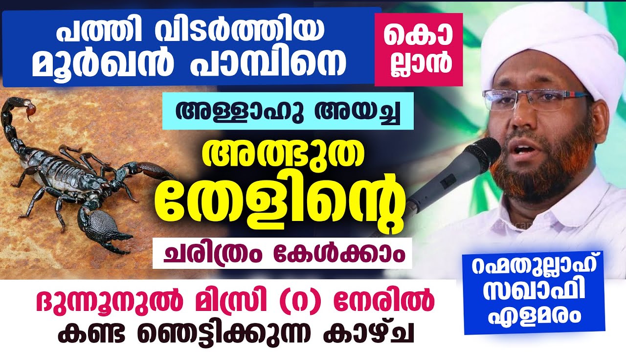 പത്തി വിടർത്തിയ മൂർഖൻ പാമ്പിനെ കൊല്ലാൻ അള്ളാഹു അയച്ച അത്ഭുത തേളിന്റെ ചരിത്രം Rahmathullah saqafi