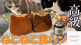 【猫型の高級食パン専門店】「ねこねこ食パン」に行ってきた！【表参道】