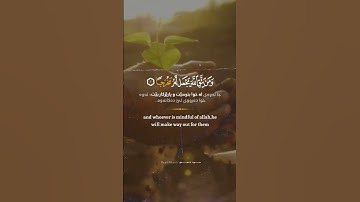 سورة الطلاق رعد الكردي #رعد_الكردي #سورة_الطلاق #قرآن_كريم #islam #quran #raadalkurdy #طلاق #الله