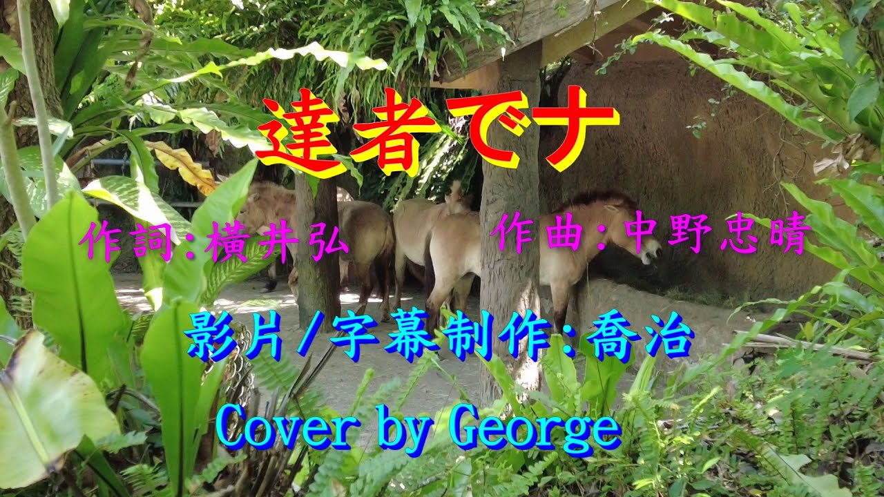 達者でナ(三橋美智也)/歌詞中譯/cover by George Lin(台曲:可愛的馬)