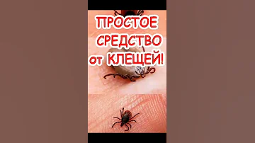 Простое средство от клещей