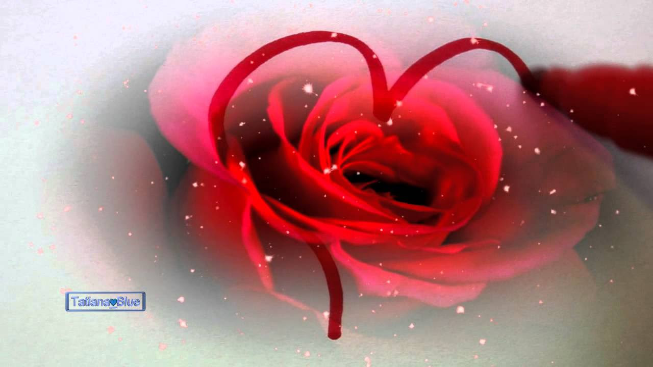 Happy Valentines Day   Martina McBride  Jim Brickman Valentine