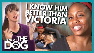 Victoria Sets Things Straight With Owner Who Loves to Play Rough | It's Me or The Dog