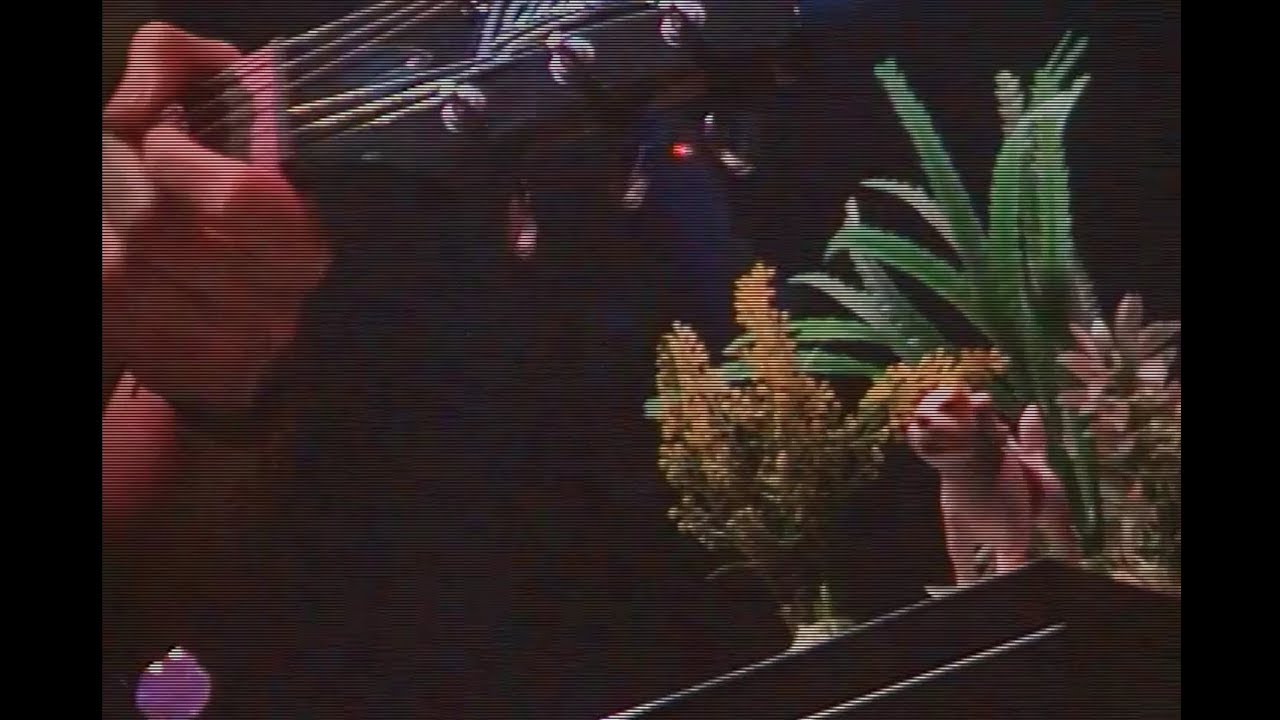 Mora y los metegoles - Terrícola y Adscriptos | Guajira, La Plata