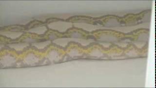 Ghost Reticulated Python Net Worth