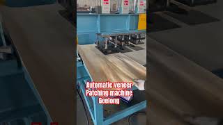 China automatic veneer patching machine best quality