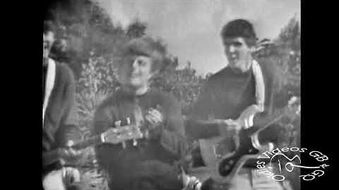 The Knickerbockers   Stick With Me (1966)
