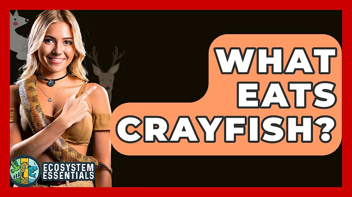 What Eats Crayfish? - Ecosystem Essentials