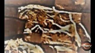 Egyptian Symbolism Possibly Embedded within Rock Formation in Southern Colorado @ Chimney Rock