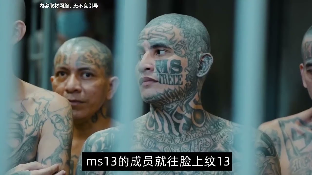 帶你去看薩爾瓦多的風采 #人物故事 #故事會 #故事 #知識 #人文社科