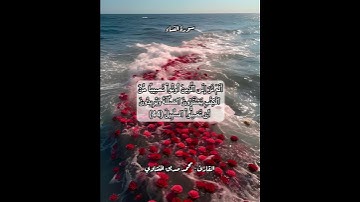 سورة النساء ٤٤ #قرآن #قرآن_كريم #قران #قران_كريم #قرأن #quran