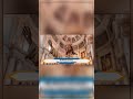 síguenos en nuestro canal de YouTube