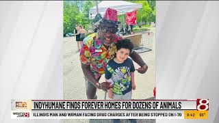 Pet Pals TV: IndyHumane finds forever homes for dozens of animals