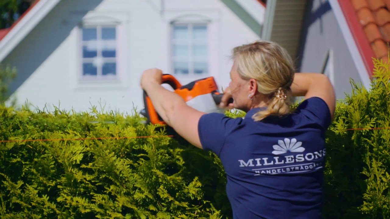 Kvarterets finaste häck.