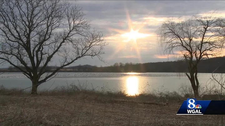 Snow Geese at Sunrise - DayDayNews