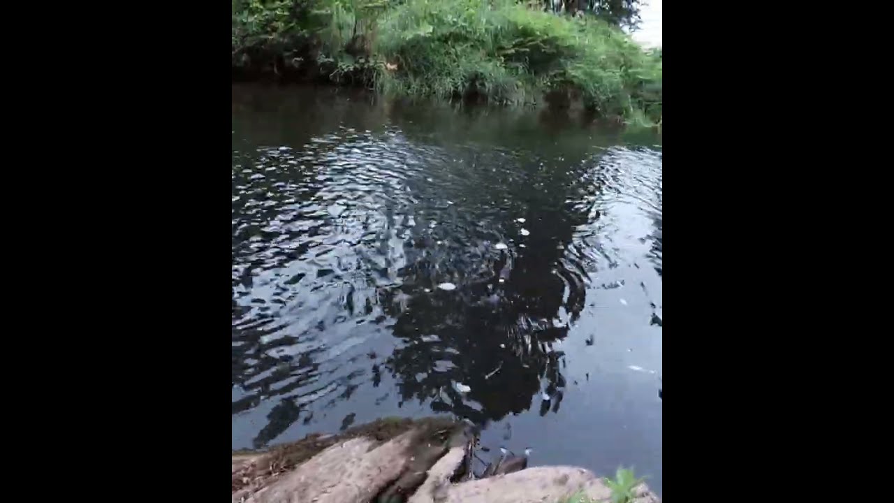 This Is Why Tenkara Sucks