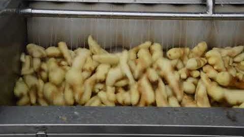 Máy gọt vỏ cà rốt, gừng, sắn, khoai lang công nghiệp OC-600J