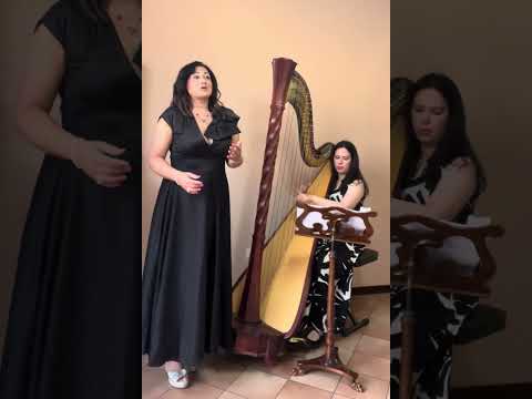 Duo Arpa d'Or - video