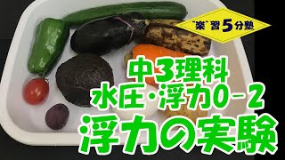 【中３理科　運動】水圧・浮力0-2　（導入：浮力の実験１）～この食品は浮く？沈む？～