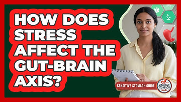 How Does Stress Affect The Gut-Brain Axis?