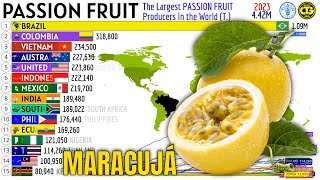 The Largest PASSION FRUIT Producers in the World