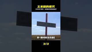 1984冷門恐怖:《玉米田的小孩》全集解說 #驚悚懸疑 #老電影 #壞種 #睡前故事 #魔幻 #阿布的童話世界 #兒童故事 #中文童話 #童話故事 #漫畫